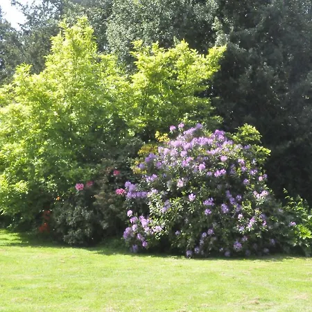 Bed & Breakfast Chateau De St Sauveur D'emalleville Emalleville