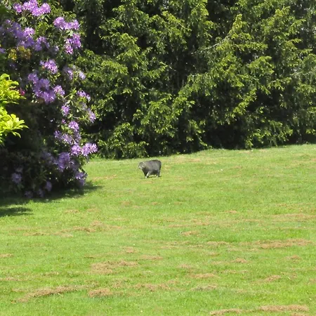 Chateau De St Sauveur D'emalleville 3*